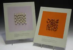 Terry Weldon, Surface Study Conception (Novelty Series), two mixed media