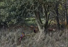 Ken Turner, Pheasants in the Boggy Patch, oil on board