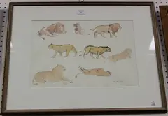 Eric James Mellon, Studies of Lions, ink with watercolour