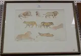 Eric James Mellon, Studies of Lions