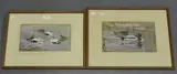 Donald Watson, Study of Eiders and Study of Mallard Ducks, a near pair of watercolours with gouache