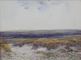 Claude Hayes, A Surrey Common