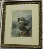 William E Powell, Eagle on a Rocky Outcrop above a River, watercolour