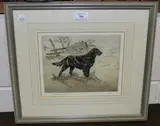 Henry Wilkinson, Flat Coat Retriever, coloured etching