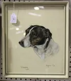 Marjorie Cox, Tiger' (Portrait of a Jack Russell)