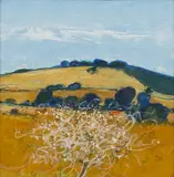 David Humphreys, E. across Adur to Downs (Meadowsweet in foreground)