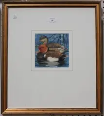 David Binns, Two Red-crested Pochard Ducks, watercolour and gouache