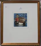 David Binns, Two Red-crested Pochard Ducks, watercolour and gouache