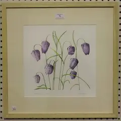Andie Armstrong, Fratilleries in Hay-on-Wye' (Botanical Study), pastel