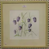 Andie Armstrong, Fratilleries in Hay-on-Wye' (Botanical Study), pastel