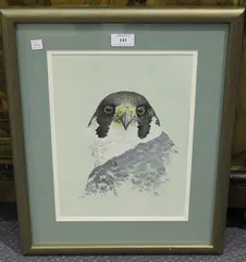 Paul Hazell, Portrait of a Peregrine Falcon, watercolour