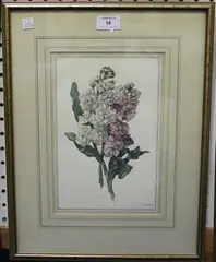 Botanical Study of Pink and White Stocks by R.T. Horley, watercolour, sold Jul 2016
