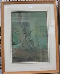 John Reaney, Woodpecker on a Tree, 1982, pastel and charcoal