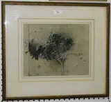 Walter Thomas Monnington, Study of an Olive Tree, 1919, watercolour squared for transfer