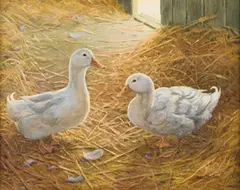 Donna Crawshaw, Sunlight on Straw and Feathers, oil on canvas