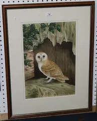 Andrew Osborne, Owl on a Ledge, watercolour
