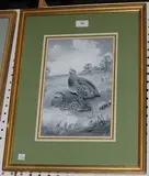 Robert W. Milliken, Study of Grouse
