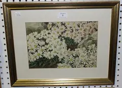 Eva Hunt, Michaelmas Daisies, watercolour