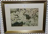Eva Hunt, Michaelmas Daisies, watercolour