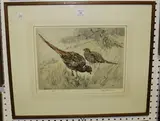 Henry Wilkinson, Cock and Hen Pheasant, colour etching
