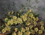 Jack Carter, Study of Primroses
