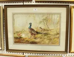 Charles Henry C. Baldwyn, Pheasants, watercolour and gouache