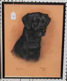 Marjorie Cox, Topsy' (Portrait of the Labrador)