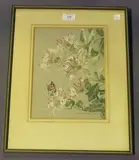 Alice Barnwell, Nectar' (Butterfly among Honeysuckle), 1954, watercolour and gouache