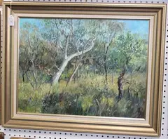 Denise Shaw, Winter Sunlight Ku-ring-gai Chase, oil on canvas