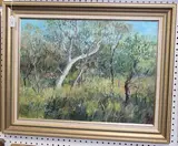 Denise Shaw, Winter Sunlight Ku-ring-gai Chase, oil on canvas