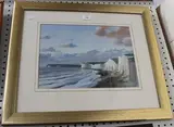 Andrew Dandridge, Evening Light on the Cliffs, from Birling Gap