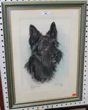Marjorie Cox, Nikki' (Study of a Black Scottish Terrier)