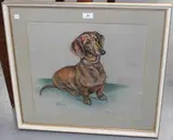 Marjorie Cox, Minnie' (Study of a Dachshund)