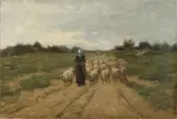 Onduidelijk gesigneerd, Landschap met schapen