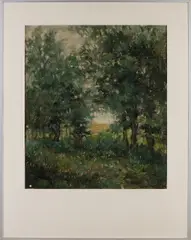 Ruurd Elzer, Bosgezicht, Olieverf op papier