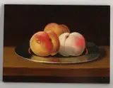 Stilleven met perziken op tinnen schaal by C. Cornelisz, Olieverf op paneel, sold Apr 2021