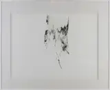 Armando, Tree, Lithografie op papier