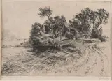 Ets Johan Dijkstra, Noord Hollands landschap, Ets Johan Dijkstra