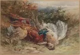 James Hardy, Wild tafereel, Aquarel op papier