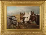 Ezels by Henry Schouten 1857-1927 Belgische school, Prachtig werk met 4 ezels in de duinen, olieverf op linnen 60x81cm in goede staat, sold Apr 2020