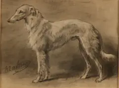 Otto Erelman, Windhond, Gemengde techniek op papier