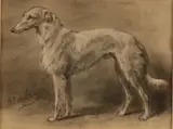 Otto Erelman, Windhond, Gemengde techniek op papier
