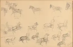 Otto Erelman, Studie tekeningen, Studie tekeningen van paarden