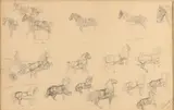 Otto Erelman, Studie tekeningen, Studie tekeningen van paarden