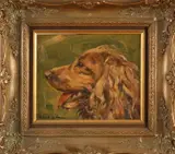 Onduid. gesig., Portret jachthond