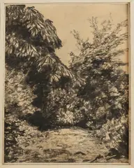 Vermoedelijk M.C. Escher, Boscage in tuin, Houtskool op papier