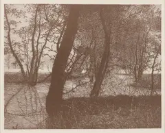 E.R. Homan, Riviergezicht, 1981, Ets op papier