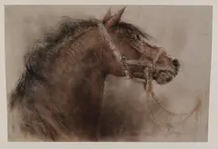 Piet Klaase, Paardenhoofd, Lithografie op papier