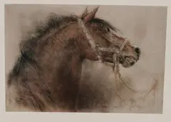 Piet Klaase, Paardenhoofd, Lithografie op papier