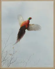 Opvliegende fazant by R. David Digby, Aquarel op papier, sold Jan 2020